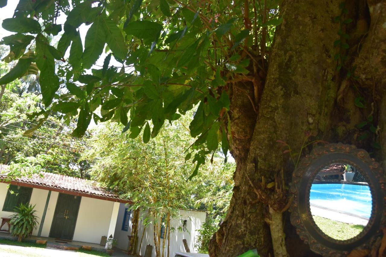 Sethra Villa Bentota Exteriér fotografie